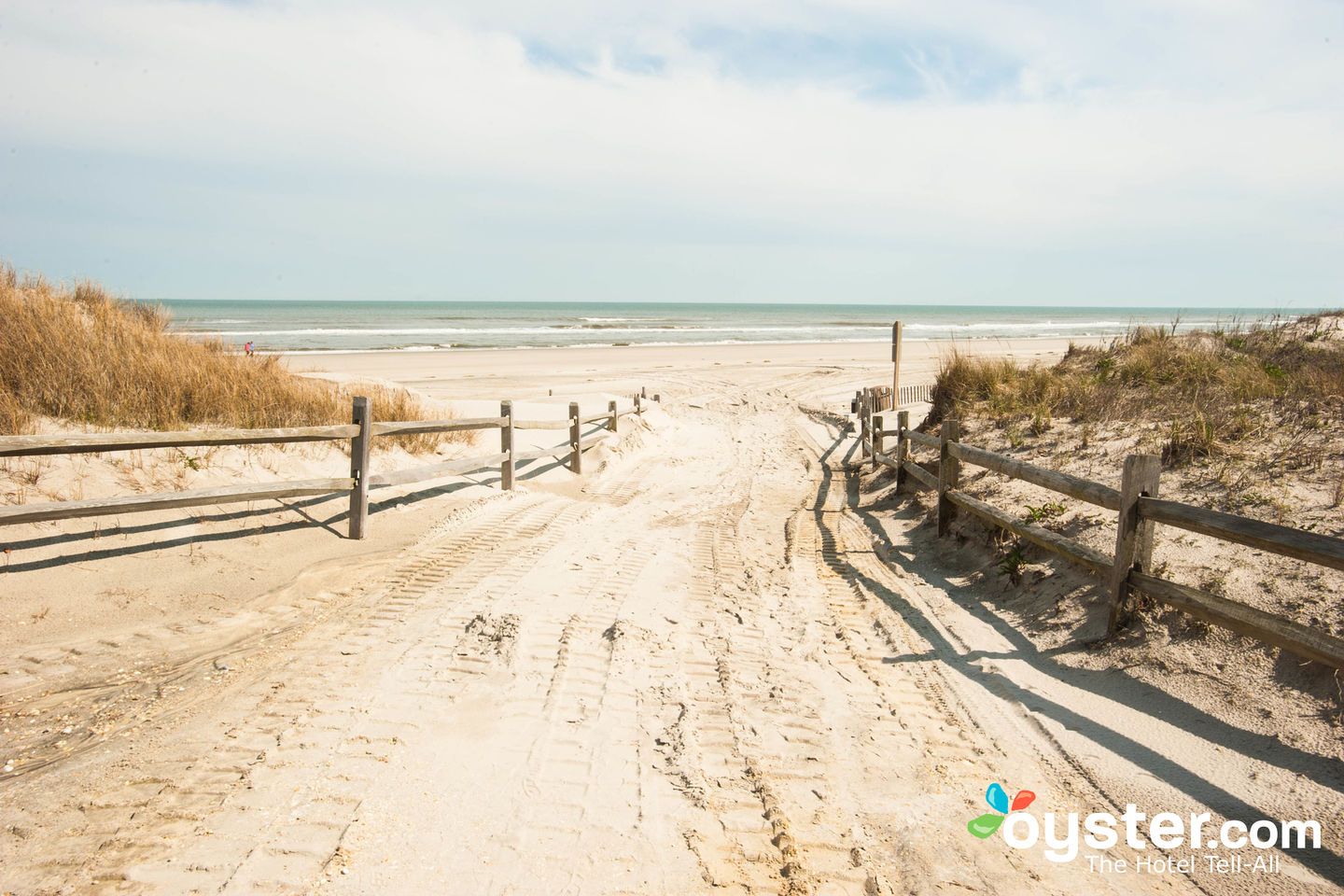 EVERYTHING YOU NEED TO KNOW ABOUT JERSEY SHORE visual data 4